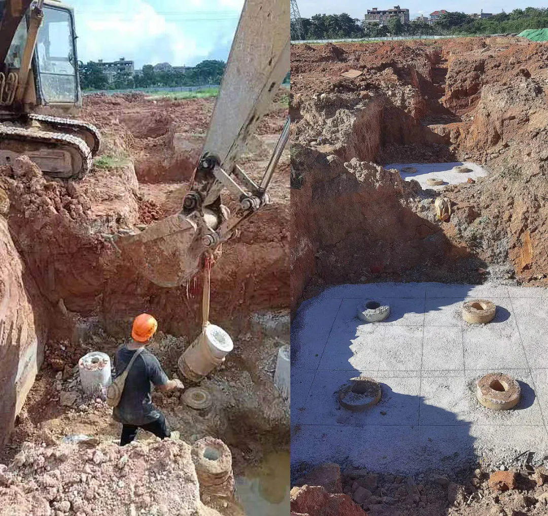 222222.webp.png 222222.webp.png